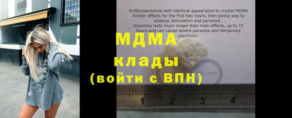 спиды Ельня