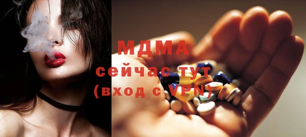 спиды Ельня