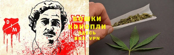 спиды Ельня