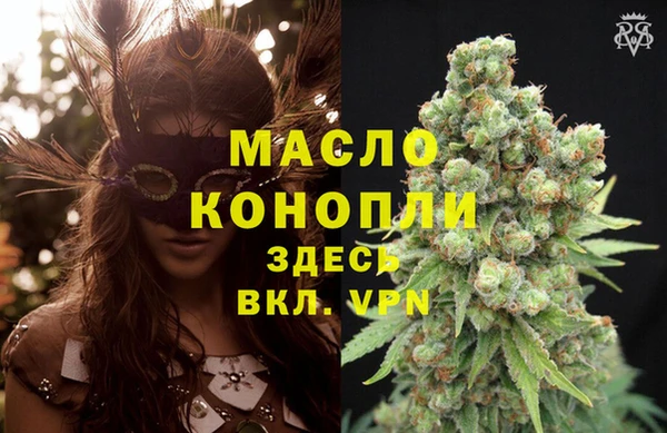 спиды Ельня