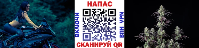купить закладку Рошаль Шишки марихуана семена